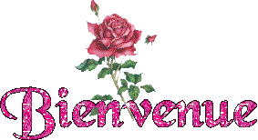 Gif animé bienvenue rose